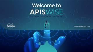 Apis Wise Explainer