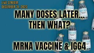 Many Doses Later, what does IgG4 mean to the vaccinated in 2023 and beyond?