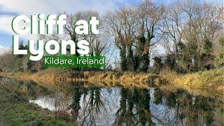 Cliff at Lyons - Kildare, Ireland