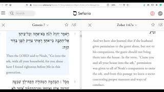 The Zohar and Rashi on "Go Into The Ark..."