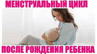 МЕНСТРУАЛЬНЫЙ ЦИКЛ ПОСЛЕ РОДОВ | Восстановление месячных после родов при грудном вскармливании