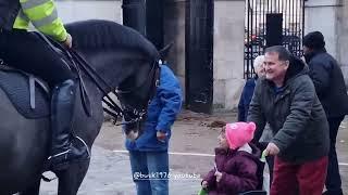 The most heartwarming  moments from horse guards #thekingsguard