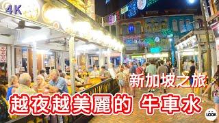 (4K街拍) 新加坡-越夜越美麗的牛車水 Singapore Chinatown