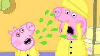 小猪佩奇 | 精选合集 | 1小时 | 乔治生病了 | 粉红猪小妹|Peppa Pig Chinese |动画