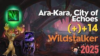 First Key of 2025! | (+)+14 ARAK | Resto Druid POV | War Within 11.0.7