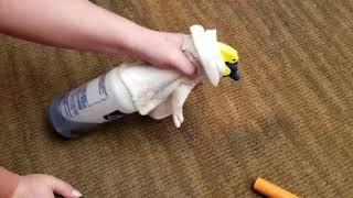 Dye Pro -  Restoring Carpet Color Loss