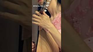 Sonate Nr.2, D-Dur⟫ Giovanni Battista Gervasio（第二樂章）｜陳子涵＆賴品蓁 #mandolin #マンドリン #music #sonata