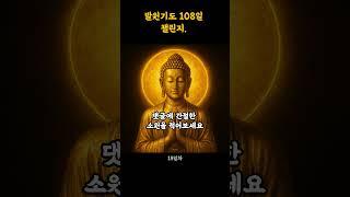 지금 당신은 부처님의 선택을 받았습니다. 큰 행운을 담은 댓글을 적어 보세요. 불경 염원 108일 챌린지 19일차 #명언 #무설스님 #지혜