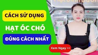 Cách Sử Dụng Quả Óc Chó | Ăn Hạt Óc Chó Đúng Cách Nhất | HSaHa