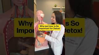 ️ Our Liver: A Critical Organ for Detox Pathways!