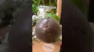 Оригинальная корзина на свадьбу:) #вкусныйподарок #свадебныйбукет #молодожены #букет #сладкийбукет