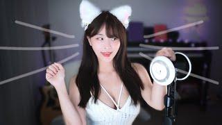 ASMR l 'MIMO CAT' Grooming (일단 고양이입니다. l 猫グルーミング)