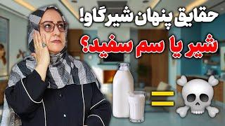 شیر گاو یا سم سفید؟/دلایلی که دیگر شیر گاو غذای جادویی نیست/