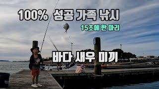 [4K] 100% 성공하는 바다 가족 낚시 (바다 새우 잡아서 작은 물고기 잡기 )