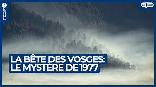 La bête des Vosges : le mystère des centaines d'animaux tués en 1977 - L'Heure H