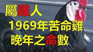 2024生肖運勢，十二生肖（1969年苦命屬雞人的中晚年之命數，1969年屬雞人是什麼命，屬雞人的一生命運又好不好呢？屬土金的屬雞人，一生也算波折再三，但卻越挫越勇，這種屬雞人也叫土雞命）