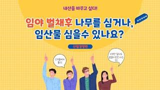 임야 벌채 후 나무심기(조림), 임산물재배를 위한 산림경영계획