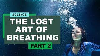 The lost art of breathing | James Nestor on the new science of breathing