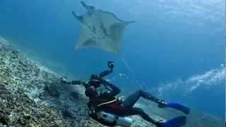 Komodo National Park - Diving Experience