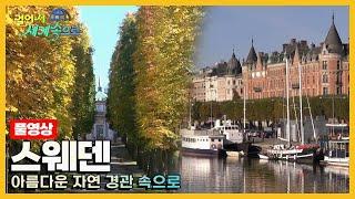 [#걸어서세계속으로Full] 편안히 걷고 싶은 가을 풍경이 있는 곳 '스웨덴' 여행 Trip to Sweden (KBS_20141101)