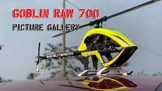 Goblin RAW 700 Size - SAB Heli Division - Gallery Picture