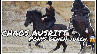 Chaos Ausritt FMA - Ponys gehen durch!