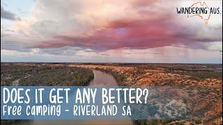 The BEST All Season Tourist Destination? | Riverland South Australia | Murray River | Free Camping