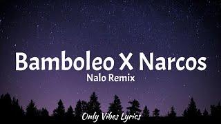 bamboleo x narcos - [Nalo remix] (Lyrics)