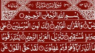 Surah Yaseen || Surah Mulk Beautiful Recitation || Yaseen Surah Ar Rahman Recitation Tilawat ||