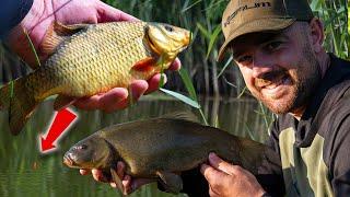 Fishing For CRUCIAN CARP & TENCH - Traditional Float Fishing