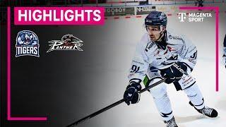 Straubing Tigers - Augsburger Panther | PENNY DEL | MAGENTA SPORT