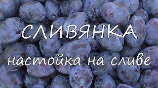 СЛИВЯНКА. Настойка на сливе.