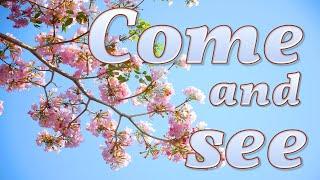 Come and See - a Chris Harle song - Archive Resurrections