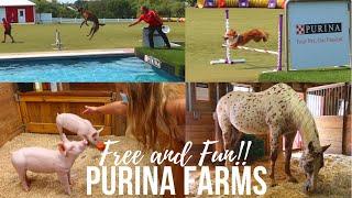 PURINA FARMS || Free + Fun Things to Do In St. Louis