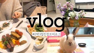 [VLOG] 2박 3일 친정집 놀러가는 브이로그 | 토끼 | 엄마표샐러드빵| 먹고또먹고 | 꽃꽂이