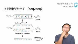 62 序列到序列学习（seq2seq）【动手学深度学习v2】