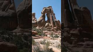 Druid Arch UT #utah #druidarch #arches #arch #alltrails #shortsfeed #shorts #hiking #canyonlands