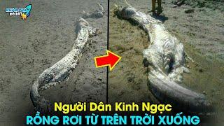 ️ 5 Sự Kiện Thần Bí Chấn Động Được Giấu Kín Ở Trung Quốc Mà Có Thể Bạn Chưa Biết  | Khám Phá Đó Đây