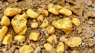 Treasure Hunting! I find and dig up Gold, I manage to find nuggets of gold.