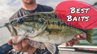 Top Baits for Summer Bass Fishing - Lake Lanier Spotted Bass