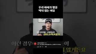 고양이가 사료를 잘 먹지 않는 이유
