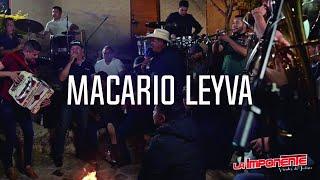 @LaImponente - Macario Leyva - (Musical En Vivo)