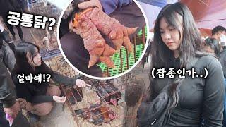 한 마리에 한국돈 180만원짜리 닭을 사러 간 베트남 아내.. [#2-66]