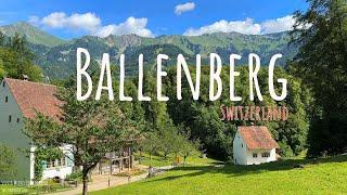 Swiss culture exhibition - Open Air museum Ballenberg 4K