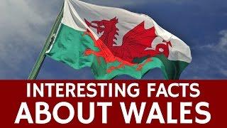 Fun Facts about Wales for Kids – Countries of the United Kingdom (Educational Top 5)