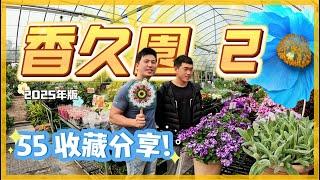 【田尾系列 ep36】香久園55種藏品大公開，三月是盛花期，開放到4月6日。完全導覽55個奇妙品種。我是愛種花的伊恩，這是一個分享種植物的小頻道，讓我們一起變綠手指吧。＃香久園＃伊恩愛種花