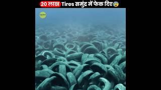 20 लाख Tires समुंद्र में फेक दिए  | When Florida Dumped 2 Million Tires In Ocean | #shorts #thefact