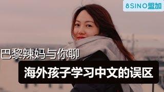 学习中文/海外孩子学习中文的误区