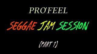 Mo La Mizik cover by Hans @profeelstudio4320 Seggae Jam Session (part 1)