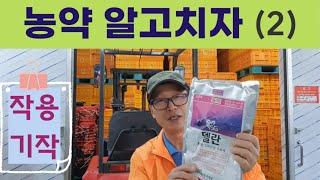 비싼 농약 쳤는데 효과가 없나요?같은 기작 농약을 연속 살포하면 안되는 이유! 농약 알고 치자(2): 작용기작